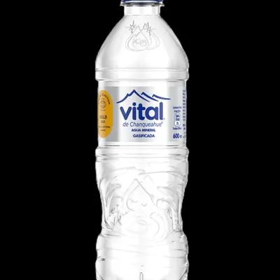 AGUA MINERAL CON GAS N° 99